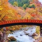 Osaka: Arashiyama Train, Fushimi Inari & Katsuo-ji Day Tour - A Thorough Look at the Experience