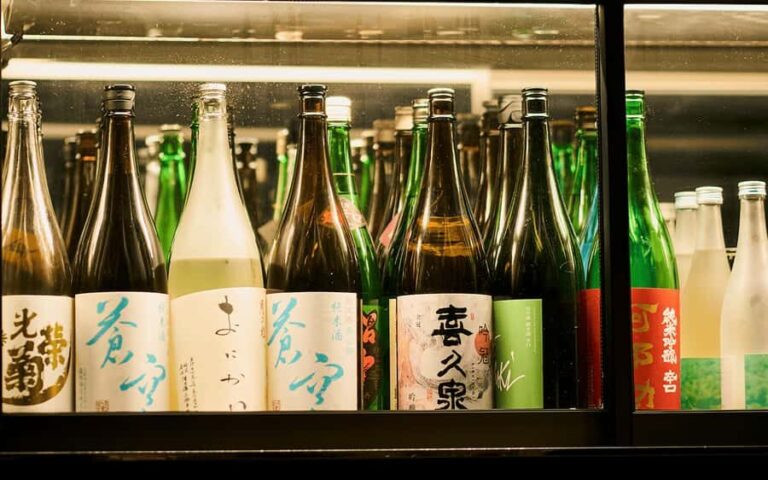 Osaka: Bar Hopping & Night Walking Tour with Locals - Who Would Love This Tour?