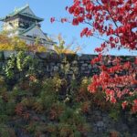 Osaka Castle Guided Tour: Interior, Museum & Gardens - Authentic Insights From Past Participants