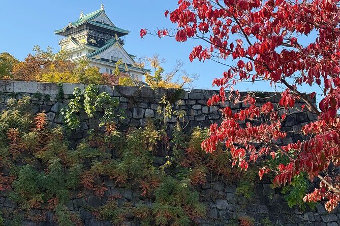 Osaka Castle Guided Tour: Interior, Museum & Gardens - The Value of the Tour: Breaking Down the Cost