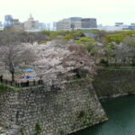 Osaka Castle & Samurai History Walking Tour - Who Is This Tour Best Suited For?