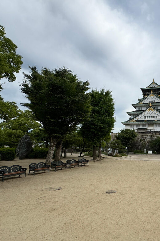 Osaka: Early Morning Osaka Castle Guided Tour, Avoid Crowds - What to Expect from the Tour