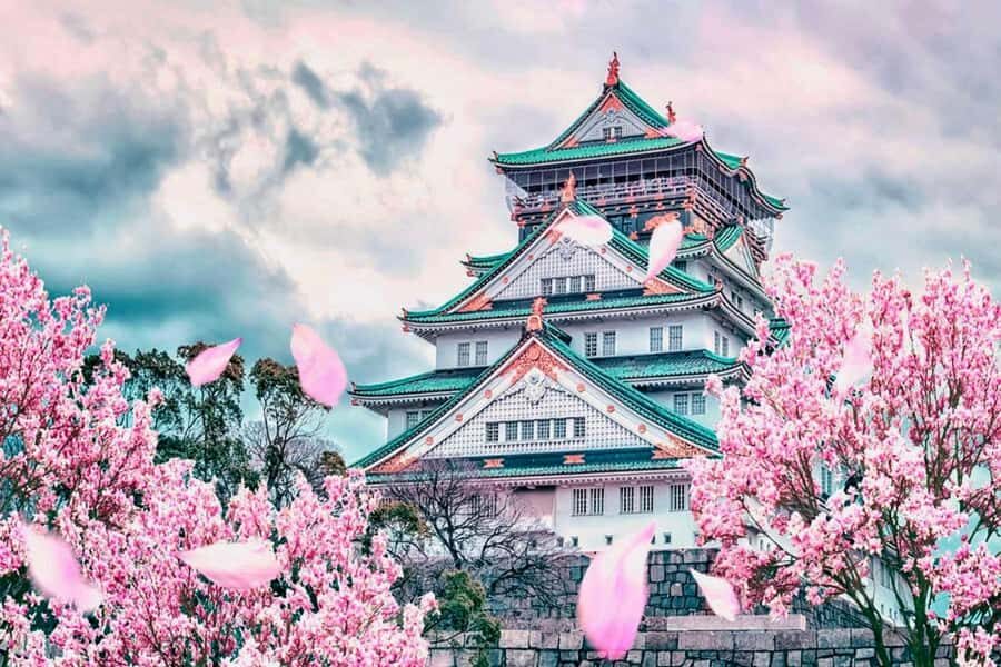 Osaka: Full-Day Private City Highlights Tour with Pickup - Authentic Insights from Reviews