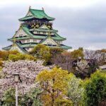 Osaka Full Day Walking Tour with Local Expert Guide - Who is This Tour Best For?