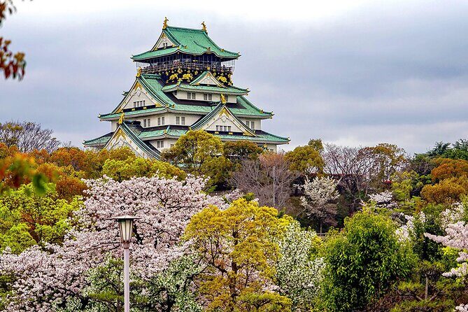 Osaka Full Day Walking Tour with Local Expert Guide - Who is This Tour Best For?