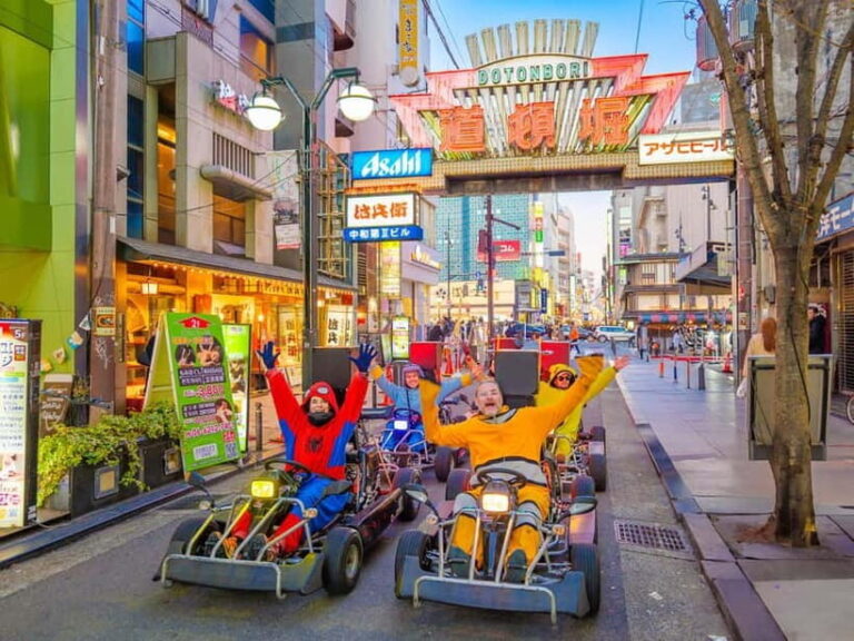 Osaka: Guided Go Karting Tour in a Funny Costume - The Practical Aspects and Value