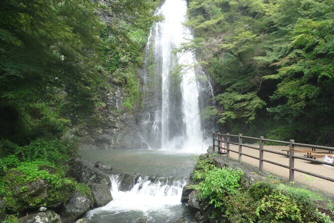 Osaka Half-day E-bike Adventure: Minoh Falls & Katsuoji Temple - What’s Included & Practical Details
