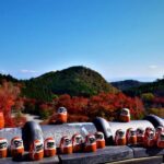 Osaka: Katsuo-ji Temple with Hundreds of Daruma Figures - What You Can Expect from This Tour