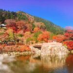 Osaka: Katsuo-ji Temple with Hundreds of Daruma Figures - What Makes This Tour Special