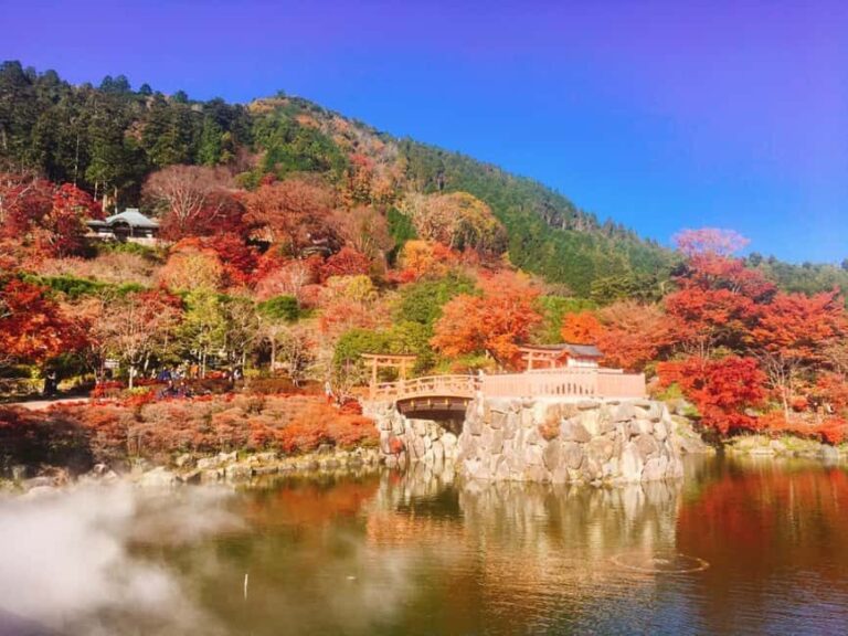 Osaka: Katsuo-ji Temple with Hundreds of Daruma Figures - What Makes This Tour Special