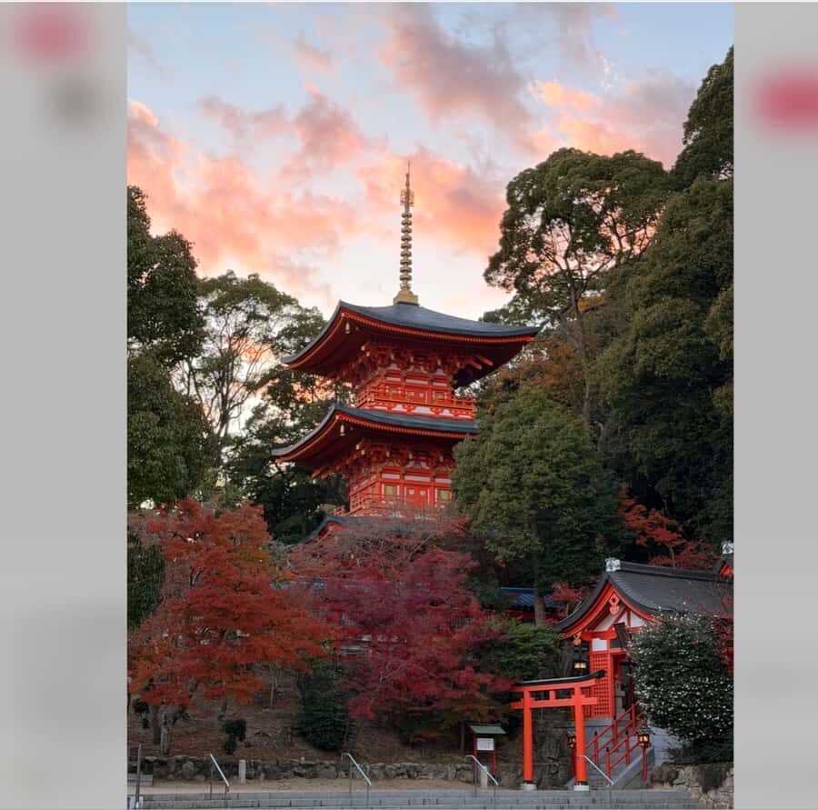 Osaka: Kobe Private Day Tour with Local Driver and Transfers - Detailed Breakdown of the Itinerary