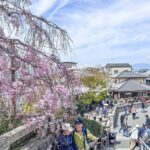 Osaka: Kyoto And Nara private Adventure Tour Hotel Pickup - The Itinerary: A Deep Dive into What You Can Expect