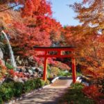 Osaka: Kyoto Autumn Minoh Falls, Arashiyama, Kinkakuji & etc - What Makes This Tour Special