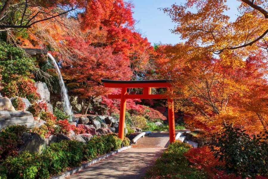 Osaka: Kyoto Autumn Minoh Falls, Arashiyama, Kinkakuji & etc - What Makes This Tour Special