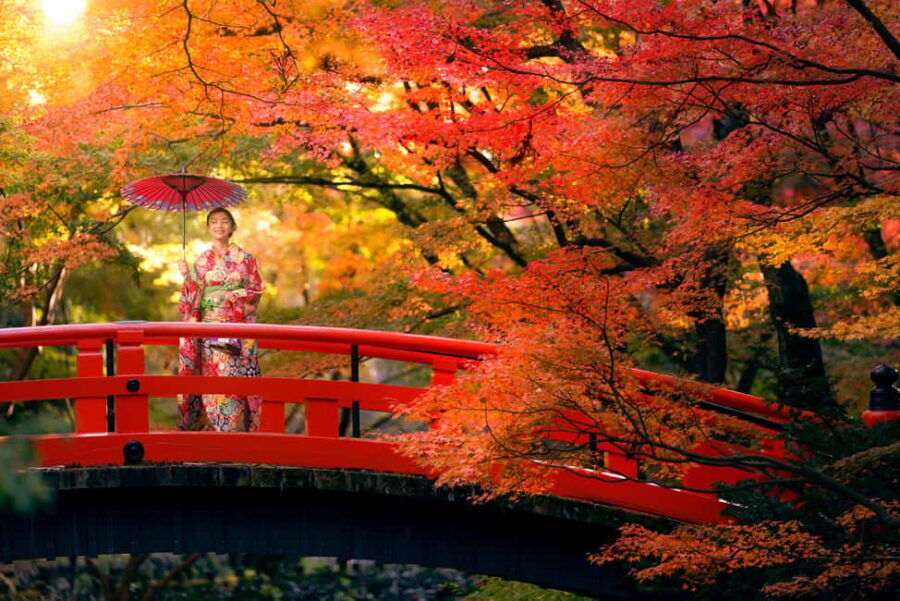 Osaka: Kyoto Autumn Minoh Falls, Arashiyama, Kinkakuji & etc - The Itinerary: A Day Full of Beauty