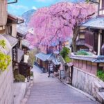 Osaka / Kyoto: Kinkaku-ji, Kiyomizu-dera Temple, Sannenzaka & Uji - Is This Tour Worth It?