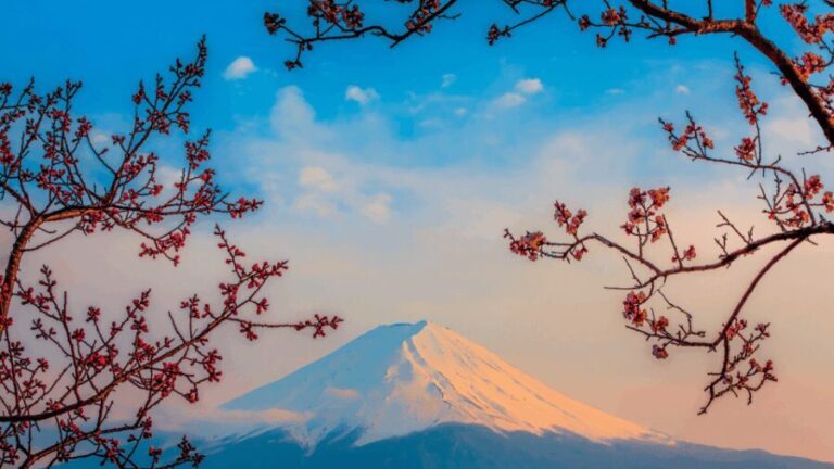 Osaka, Kyoto & Nara 5 Days Tour with Accomodation - Final Thoughts: Is This Tour Worth It?