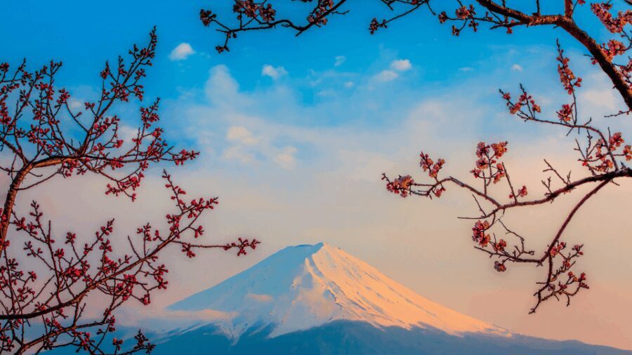 Osaka, Kyoto & Nara 5 Days Tour with Accomodation - Final Thoughts: Is This Tour Worth It?