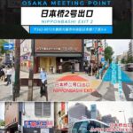 Osaka: Kyoto & Nara Park Deer Sighting Tour /w Hotel Pickup - An In-Depth Look at the Tour Experience