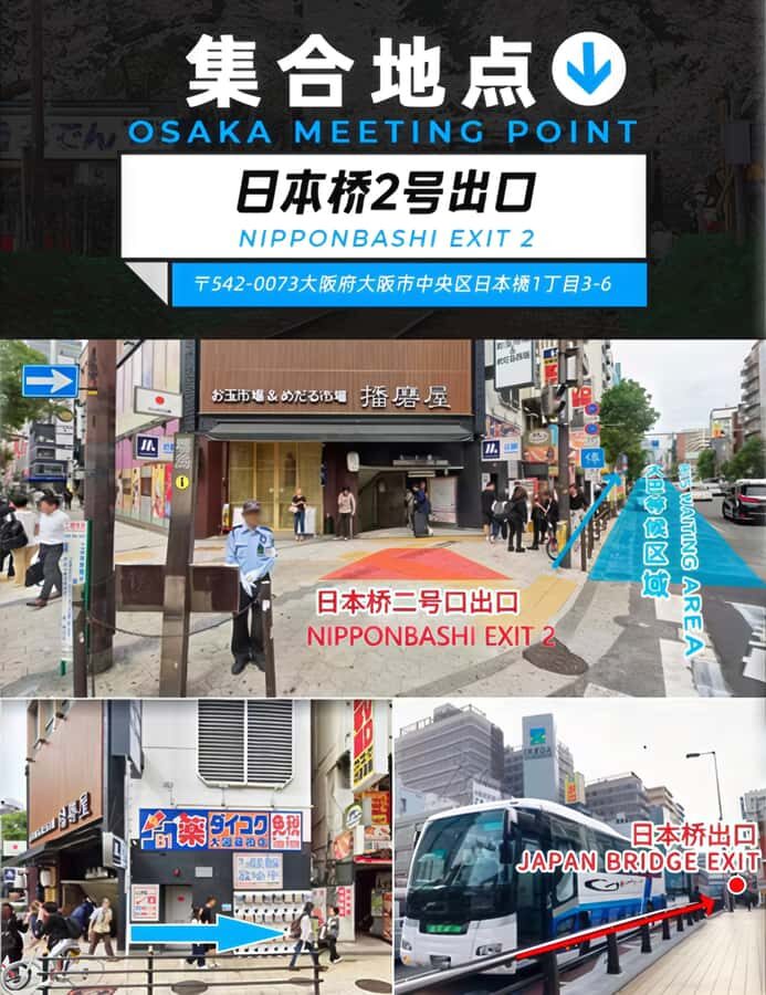 Osaka: Kyoto & Nara Park Deer Sighting Tour /w Hotel Pickup - An In-Depth Look at the Tour Experience