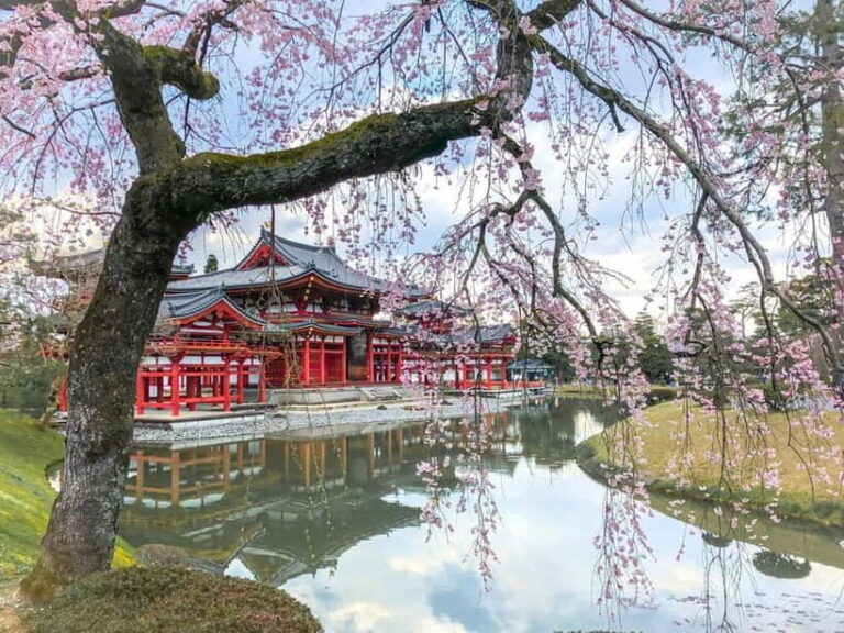 Osaka: Kyoto & Nara & Uji Historical and Scenic One-Day Tour - Who Will Love This Tour?
