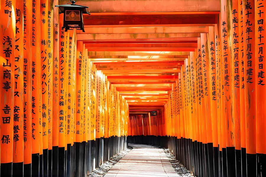 Osaka: Kyoto & Nara UNESCO Heritage Small Group Tour - Exploring the Cultural Gems of Kyoto & Nara