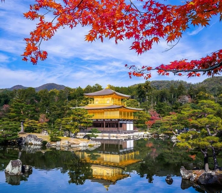 Osaka: Kyoto & Uji Historical Sites and Scenic Delights Tour - What Makes This Tour Stand Out?