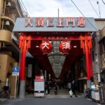 Osaka Local Secrets Walking Tour with English Speaking Guide - Who Will Love This Tour?