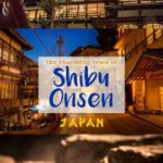 Osaka: Nagano Private Day Trip with English-Speaking Guide - Visiting the Snow Monkeys