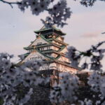 Osaka/Nara/Kyoto: Private Tour with English-Speaking Guide - The Logistics: Comfort, Timing, and Value