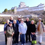 Osaka/Nara: Private Customizable Walking Tour with Guide - What You Can Expect from the Tour