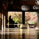 Osaka: Naras Hidden-gem Temples, Art Forest Day Tour - Practical Details and Tips