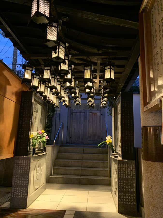 Osaka Night Tour: Hidden Alleys & Local Streets - What to Expect from the Tour