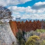 Osaka: Osaka Castle & Samurai History Walking Tour - In-Depth Review of the Osaka Castle & Samurai History Walking Tour