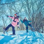 Osaka: Shiga Biwako Valley Winter Ski Day Tour opt lesson - Who Should Consider This Tour?