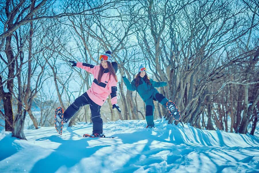 Osaka: Shiga Biwako Valley Winter Ski Day Tour opt lesson - Who Should Consider This Tour?