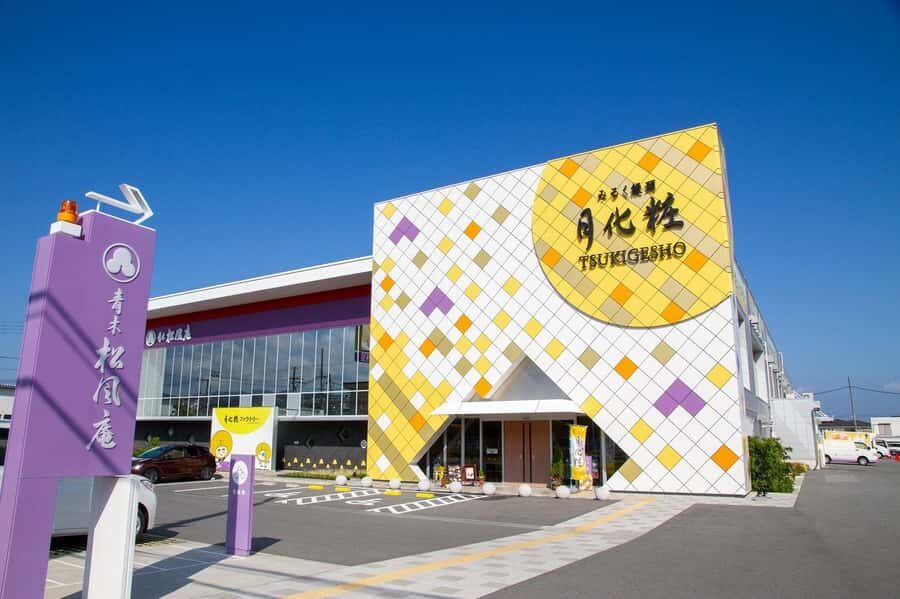 Osaka South Day Trip: History, Seafood, Shopping & Sweets - Who Would Love This Tour?