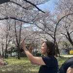 Osaka: Springtime Sakura Picnic "Hanami" - Discovering the Beauty of Osaka’s Sakura with a Guided Tour