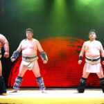 Osaka: Sumo Stage Show with Bento & Fight + Photo Shooting - Authenticity and Cultural Insight