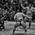 Osaka: Sumo Tournament with Guide & Assigned Reserved Seat - Tranquil Moments at Hozenji Temple