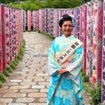 Osaka to Kyoto Arashiyama Bamboo Grove Small Group Tour - What’s Included and What Not