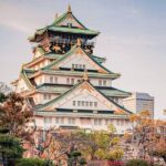 Osaka to Nara Park Private Day Trip with English Driver - Practical Aspects and Value