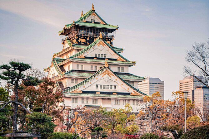 Osaka to Nara Park Private Day Trip with English Driver - Transportation & Practical Details