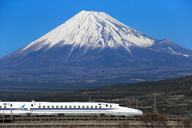 Osaka to Tokyo Bullet Train Trip with Tokyo Subway 24 hour Ticket - Who Would Love This Experience?