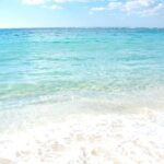 Osaka to Wakayama, Japan One-Day Chartered Tour - Why Choose This Tour?