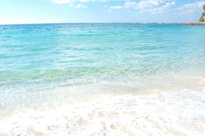 Osaka to Wakayama, Japan One-Day Chartered Tour - Why Choose This Tour?