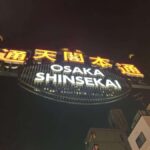 Osaka: Top Sights & Secrets Tour with a Local Guide - Transport and Logistics