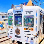 Osaka: Wakayama Cat Train, Seafood market, Hot Springs Tour - An Authentic Day in Wakayama