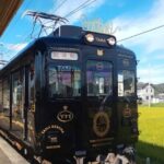 Osaka Wakayama Cat Train, Seafood market, Hot Springs Tour - Practical Tips for Your Day Trip