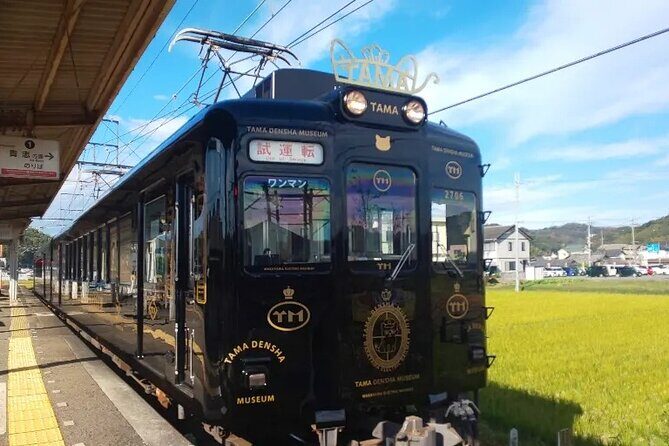 Osaka Wakayama Cat Train, Seafood market, Hot Springs Tour - Practical Tips for Your Day Trip